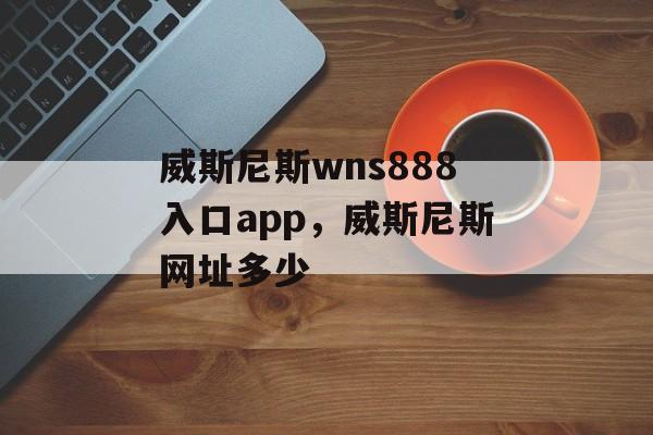 威斯尼斯wns888入口app，威斯尼斯网址多少